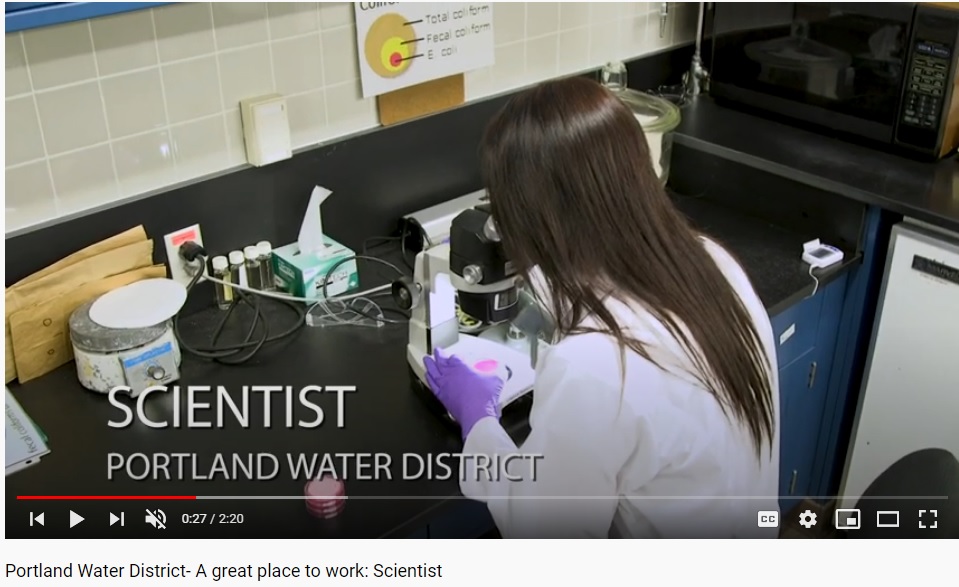 A great place to work: Scientist